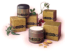 Massage Cream
