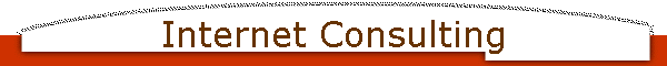 Internet Consulting