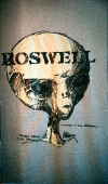 Glow In Dark Roswell Alien Head